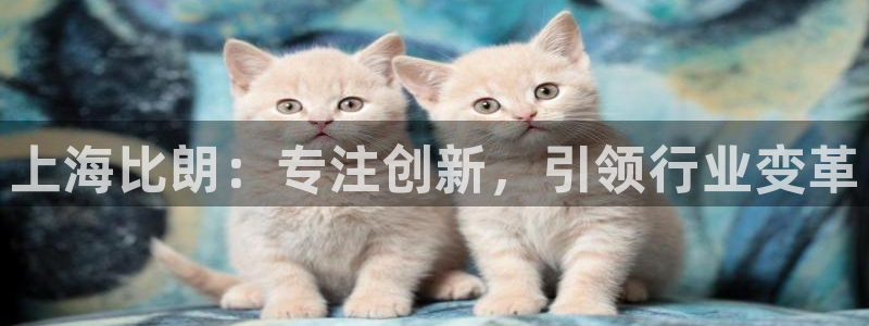 注册意昂3：上海比朗：专注创新，引领行业变革