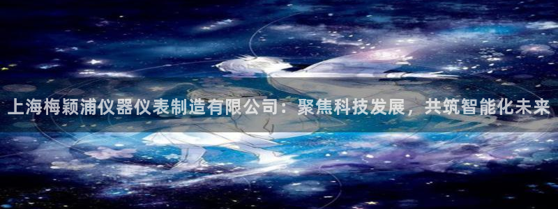 意昂体育3开户：上海梅颖浦仪器仪表制造有限公司：聚焦科技发展