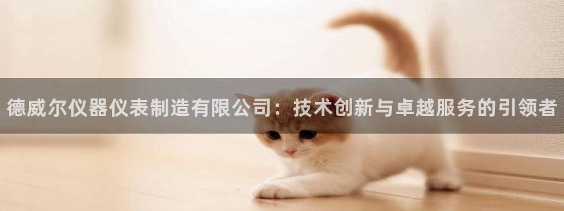 意昂3新能源：德威尔仪器仪表制造有限公司：技术创新与卓越服务