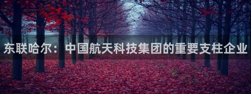 意昂体育3联系电话：东联哈尔：中国航天科技集团的重要支柱企业