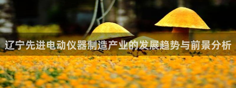 意昂体育3平台是正规平台吗安全吗：辽宁先进电动仪器制造产业的