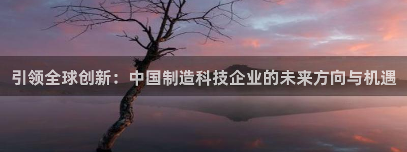 德国意昂3集团：引领全球创新：中国制造科技企业的未来方向与机