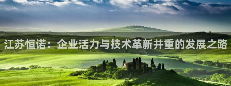 意昂体育3平台注册要钱吗安全吗：江苏恒诺：企业活力与技术革新