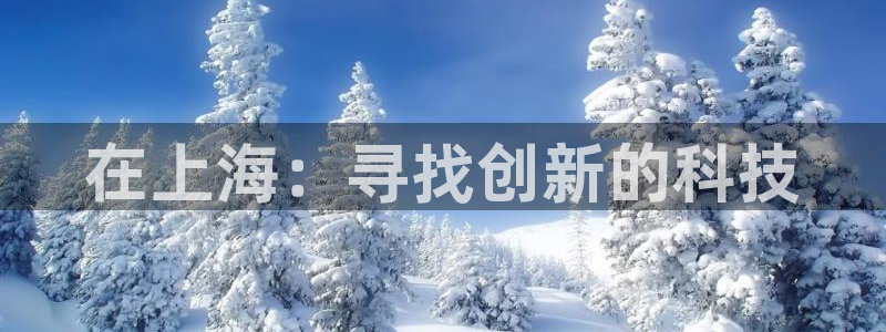 意昂体育3：在上海：寻找创新的科技